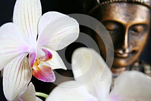 Buddha with orchid