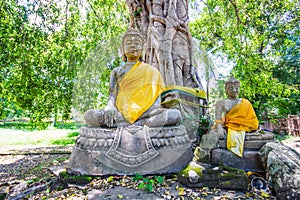 Buddha in Park City Old Phichit.