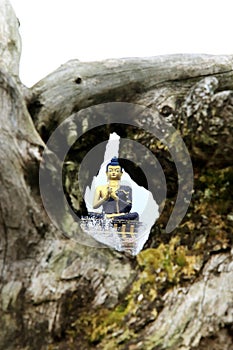 Buddha Park of Ravangla. Beautiful huge statue of Lord Buddha, at Rabangla, Sikkim, India. Gautam Buddha statue in the Buddha Park