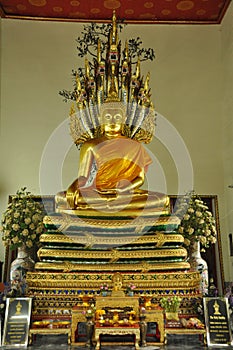 Buddha posture Nagas overspread