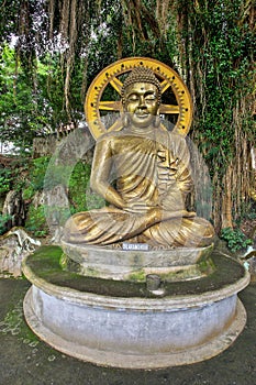 Buddha Reaching Enlightment photo