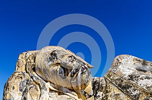 Buddha relaxing in Ayutthaya close-up pure deep blue clear sky