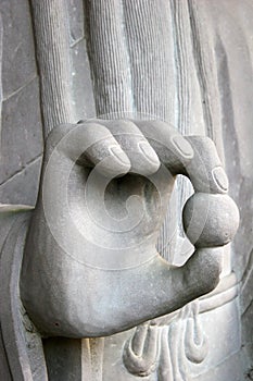 Buddha's Hand