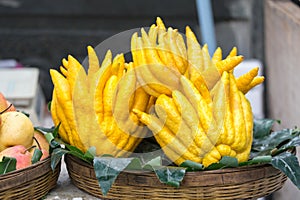 Buddha's hand fruit