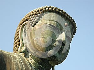 Buddha's Head