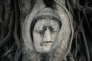 Buddha's head, Ayutthaya, Thailand