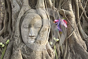 Buddha's head entangled in trees, Ayuthaya