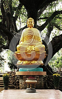 Buddha Shakyamuni Statue. Shakyamuni Buddha sat under the Bodhi tree. Buddha statue at Thien An pagoda, Vietnam