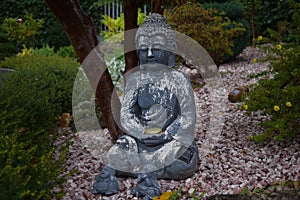 Buddha is sitting under the tree