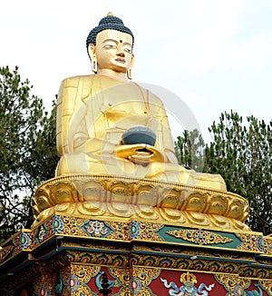 Buddha statue