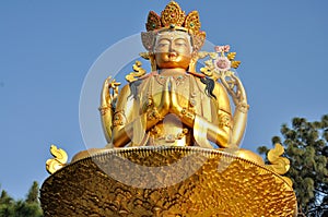 Buddha Statue