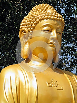 Buddha Statue