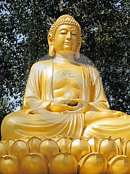 Buddha Statue