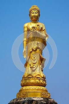 Buddha statue