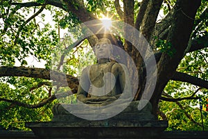 Buddha statue at Abhayagiri Dagoba stupa