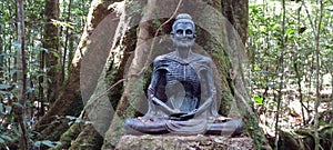 Buddha Statue, The Age of Difficult Action, Sinharaja Forest Hermitage, Sri Lanka