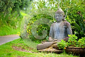 Buddha statue at the Alii Kula Lavender Farm on Maui, Hawaii photo