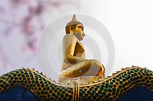 Buddha statue amulets