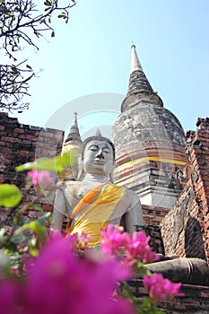 Buddha Statue at Ayutthaya, Thailand (Portrait)