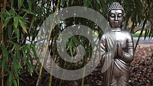 Buddha Statue in Bamboo Forest on Overcast Day