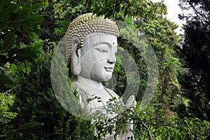 Buddha statue behind the trees. Chin Swee Temple, Malaysia