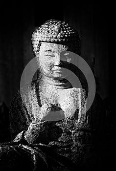 Buddha Statue in Black and White