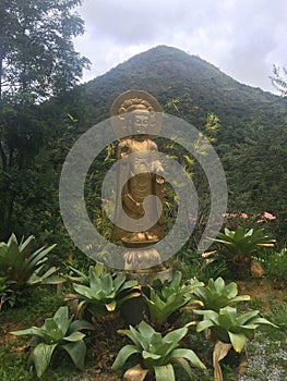 Buddha statue in buddhist garden
