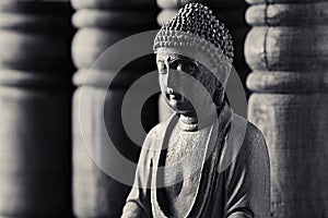 Buddha Statue (close-up)