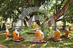 Buddha statue edify five buddha statue in nature