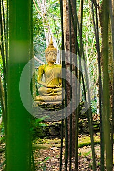 Buddha statue in forest.