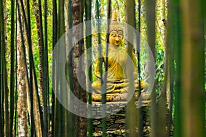 Buddha statue in forest.