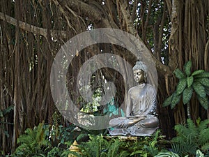 Buddha statue in the gardens of the White Temple