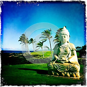 Buddha statue HawaÃÂ¯