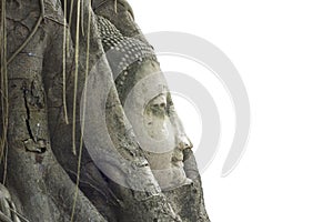 Buddha Statue Head in Banyan Tree