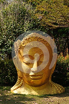 Buddha statue head in garden of a temple, Thailand.