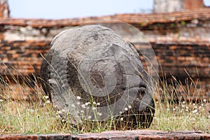 A Buddha statue head on the ground in Thailand