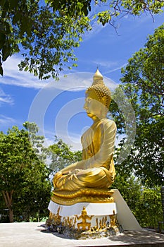 Buddha statue head in the natural park