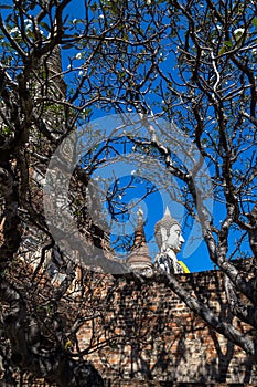 Buddha statue at historical park Ayutthaya, Thailand.