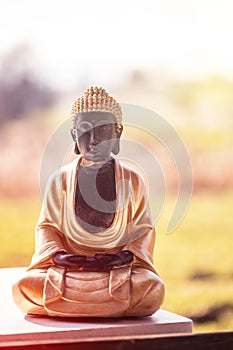 Buddha statue in India: Relaxation, balance and spirituality