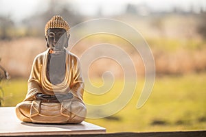 Buddha statue in India: Relaxation, balance and spirituality