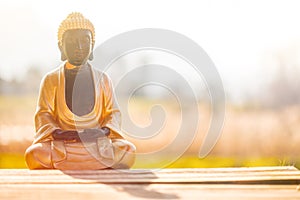 Buddha statue in India: Relaxation, balance and spirituality