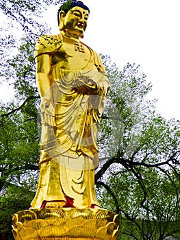 Statua da tempio 