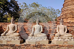 The Buddha statue is located outdoors.