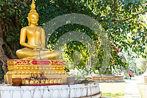 Buddha statue, Louangphabang, Laos. Copy space for text.