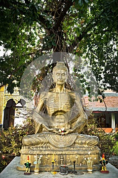 Buddha statue meditation under cannonball tree in the temple background. Thin Buddha sculpture sit and starve under the tree