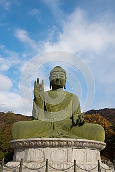 Buddha statue