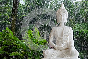 Buddha statue in a peaceful natural setting with green vegetation