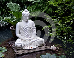 Buddha statue in pond