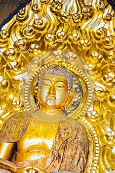 Buddha statue in shining gold color