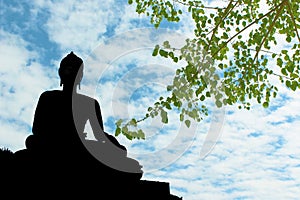 Buddha statue Silhouette with bho tree background
